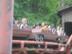 Copy-of-dollywood-labor-day-9-3-07-016_72x54_c