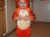 Dsc01610--large-_72x54_c