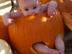 Cam-halloween_72x54_c