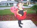 Bella-ladybug-2_120x90_c