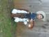 Isaias-3_72x54_c_r1