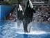 Img-1286_72x54_c